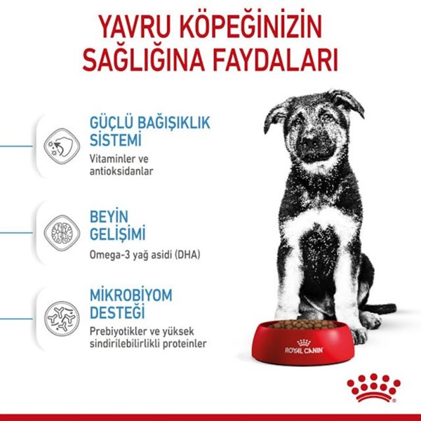 ROYAL CANİN DOG MAXİ PUPPY  15 KG